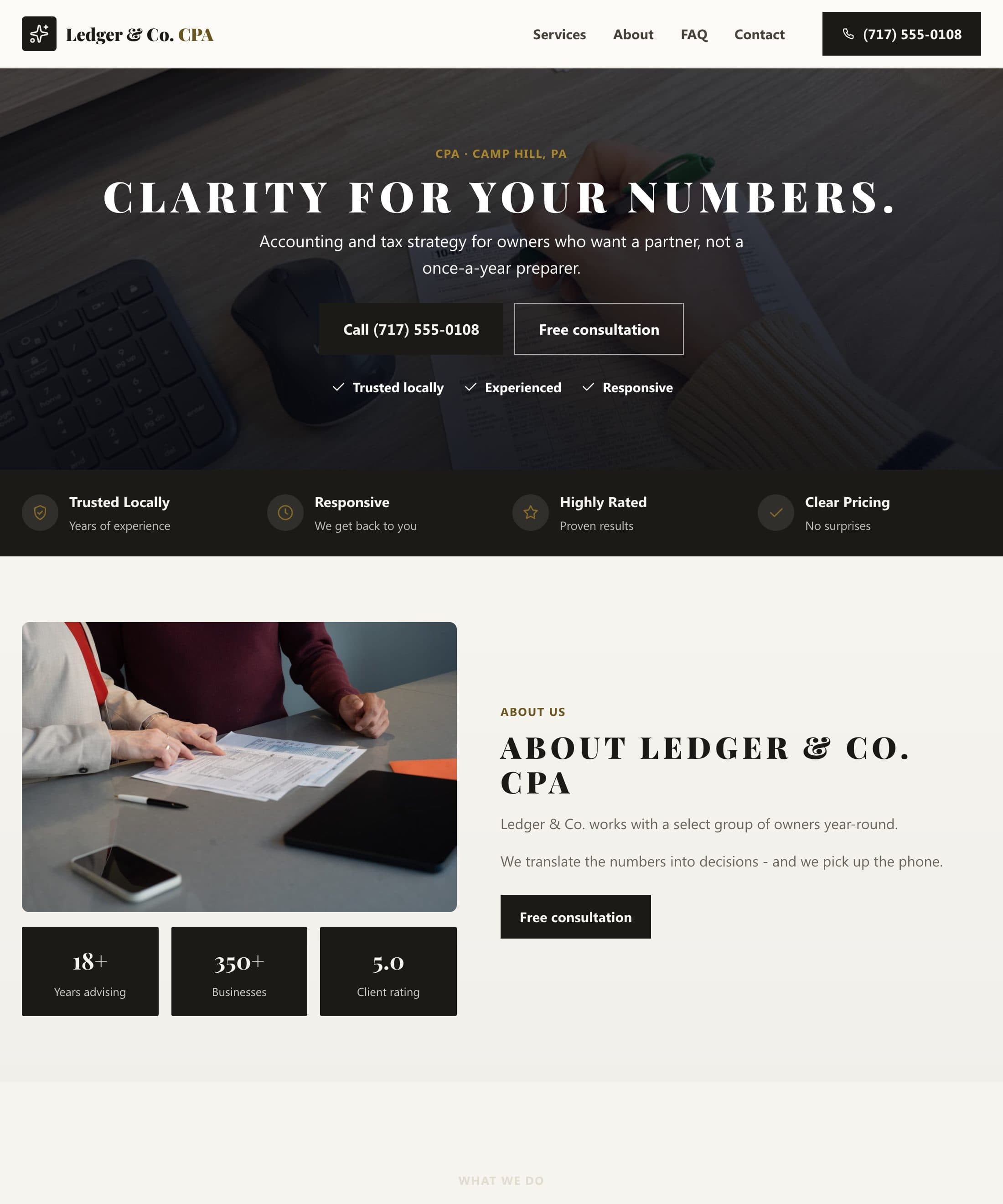 Ledger & Co. CPA website built by Patsy